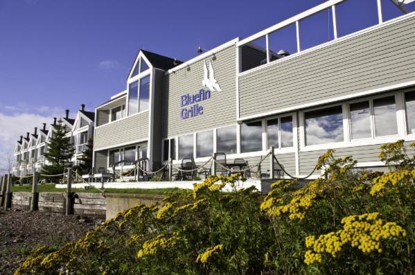 Bluefin Bay On Lake Superior Tofte Exteriér fotografie